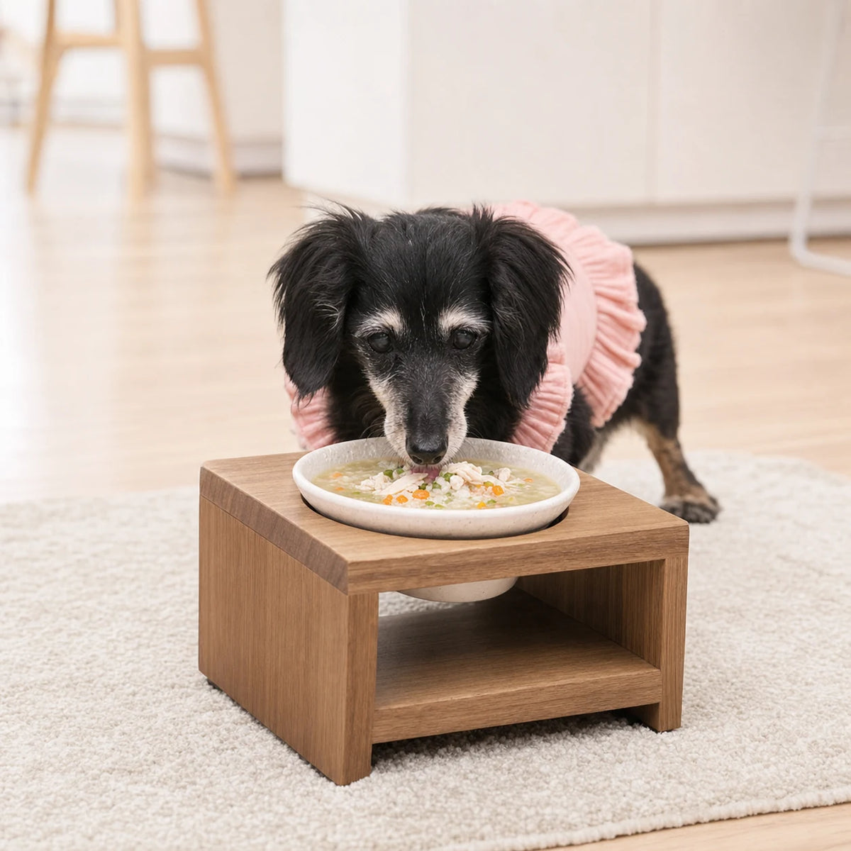 ピンクの服を着た黒いダックスフンドが木の食台からごはんを食べている